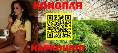 PSILOCYBIN Изобильный