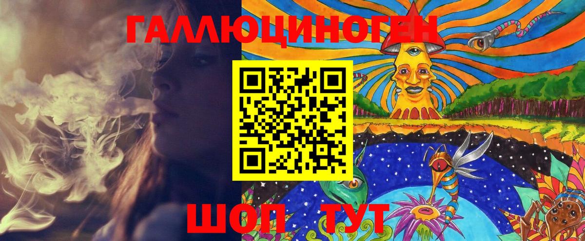 Галлюциногенные грибы Psilocybe Электросталь