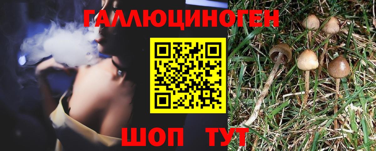 Галлюциногенные грибы Psilocybine cubensis  Галлюциногенные грибы Psilocybine cubensis  Вход с VPN  Электросталь 